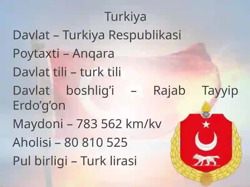 Turkiyata’limtizimi 3