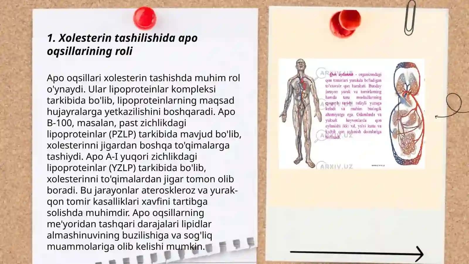 Xolesterin tashilishida qatnashuvchi apo oqsillar 3