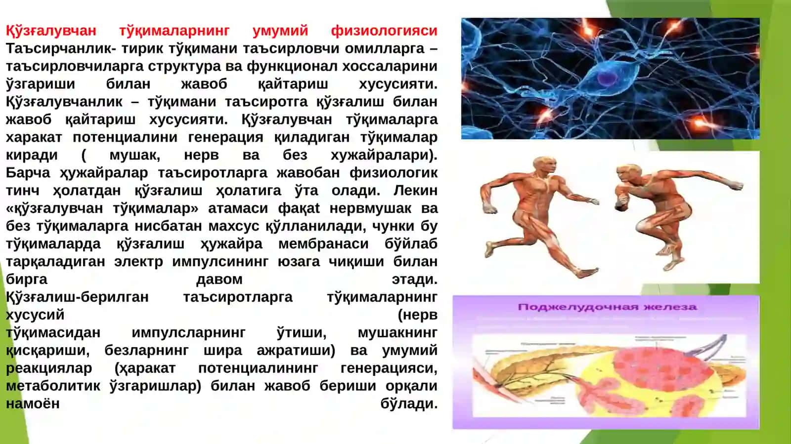 Ta'sirlash qonunlari tibbiyotda 3