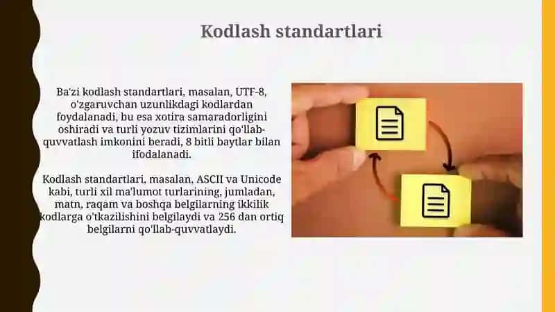 Kodlash standartlari 3