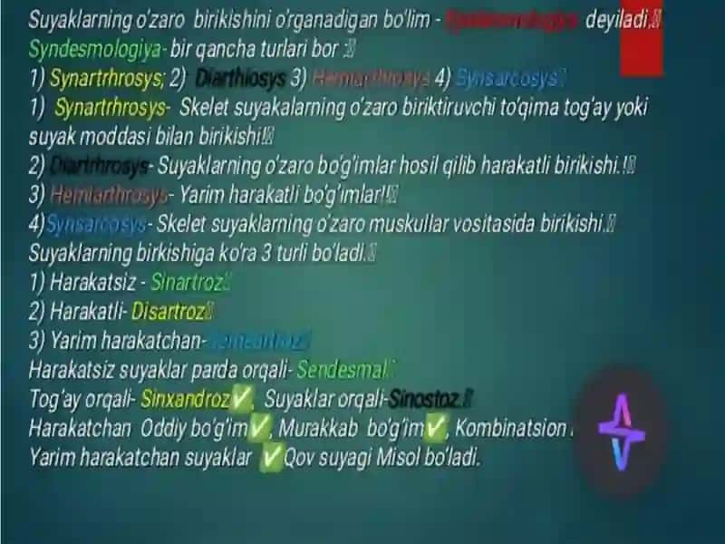 Birlashmalarning rentgenoanatomiyasi 3
