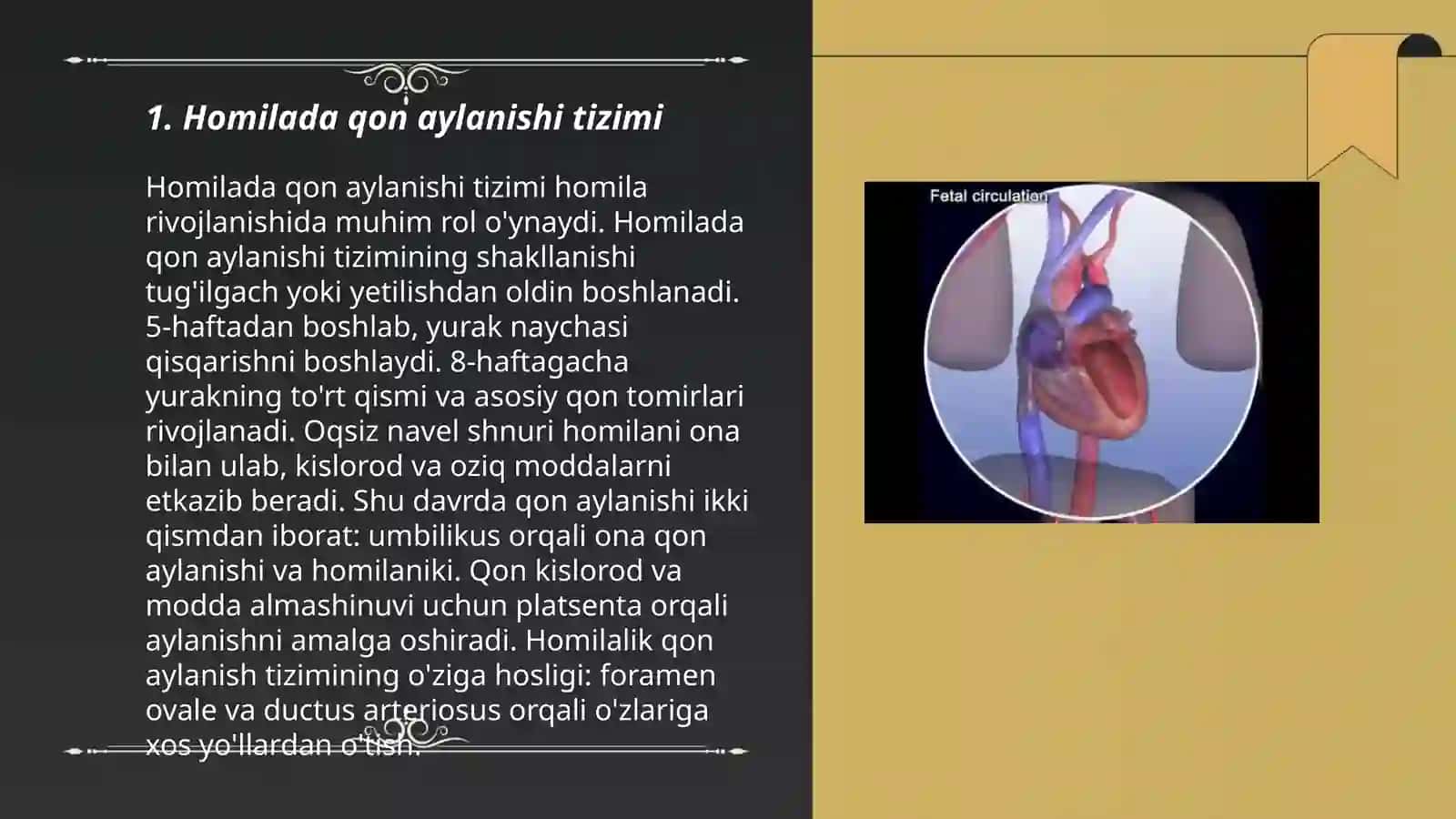 Homilada qon aylanishi va unga doir patologiyalar 3