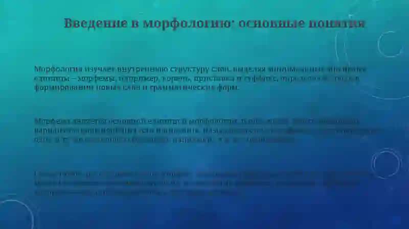 Morfologiya 3