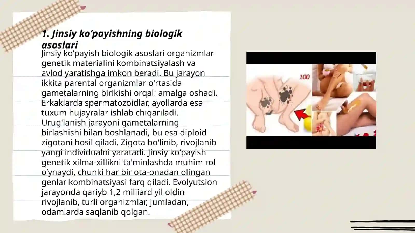 Jinsiy koʻpayish 3