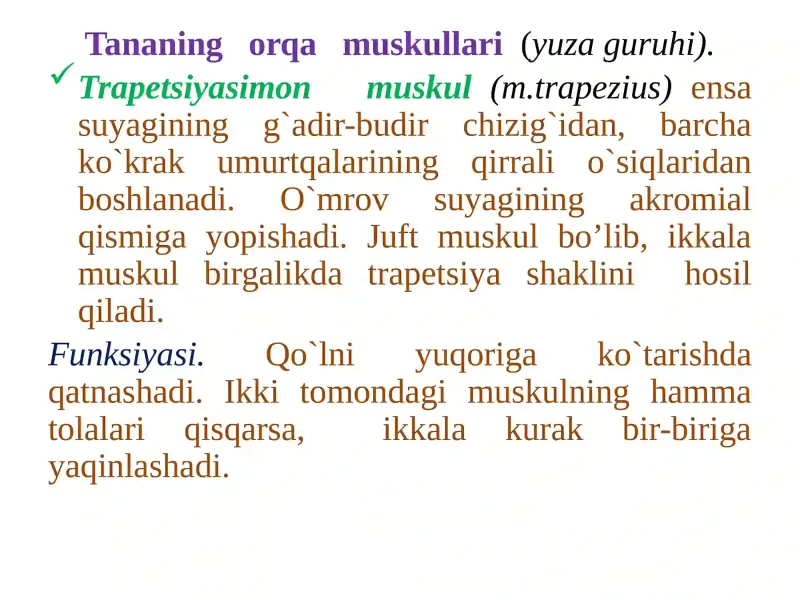 Miologiya.Gavda muskullari.Tananingorqamushaklari 3