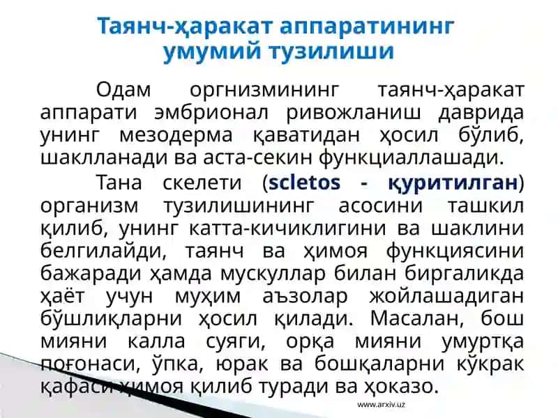 Таянч-ҳаракат тизимининг тузилиши ва аҳамияти 3