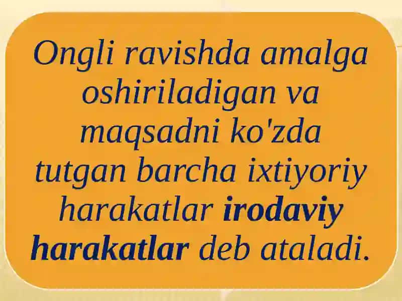Iroda haqida tushuncha 3