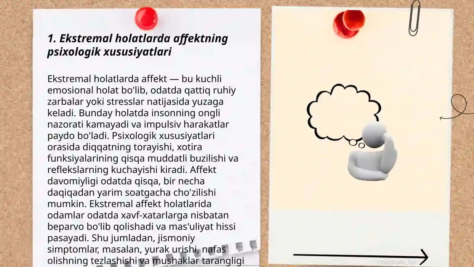 Ekstrimal hollarda affekt holati 3