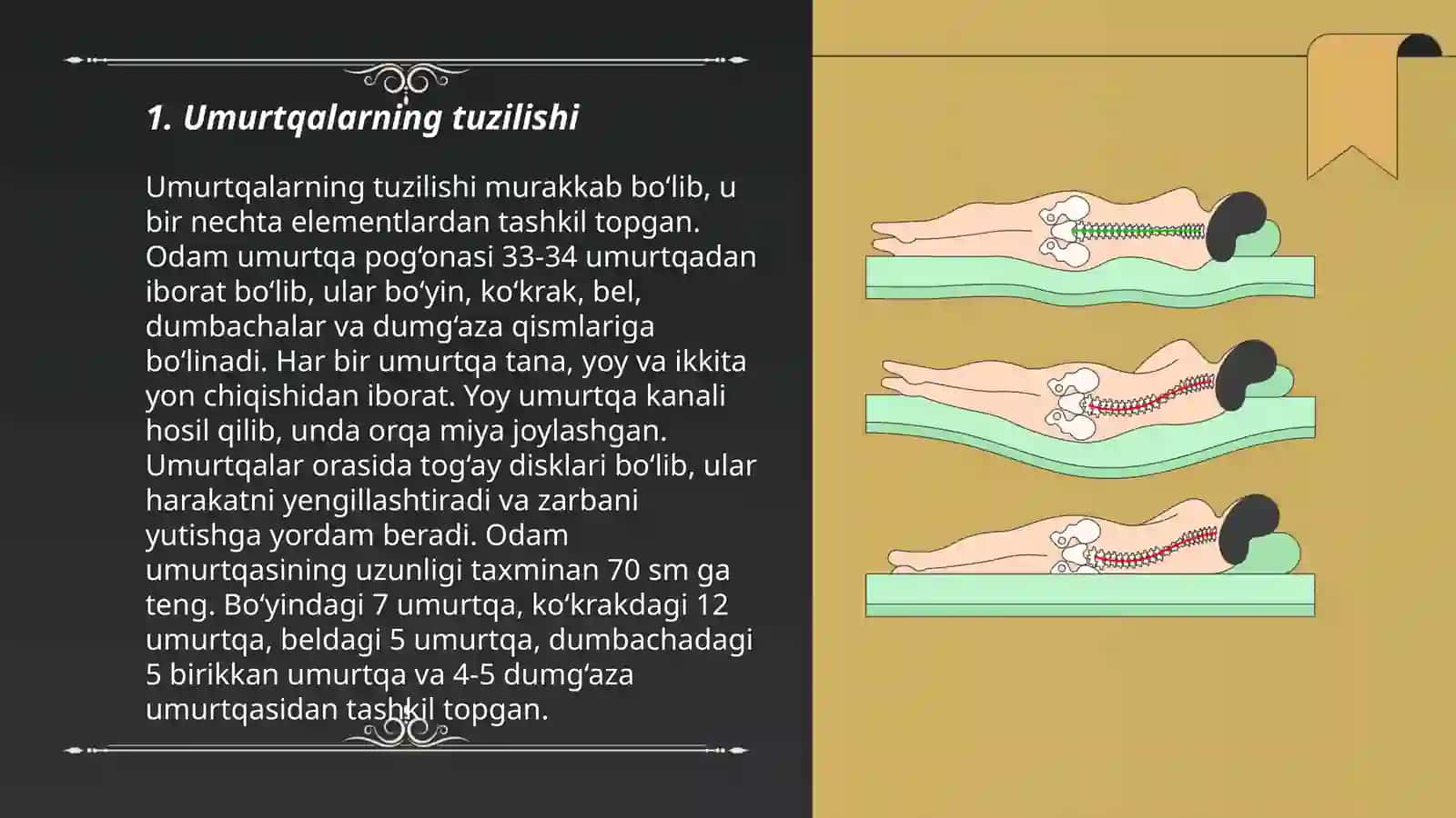 Umurtqalarning o'zaro birlashuvi Umurtqa pog'onasi 3
