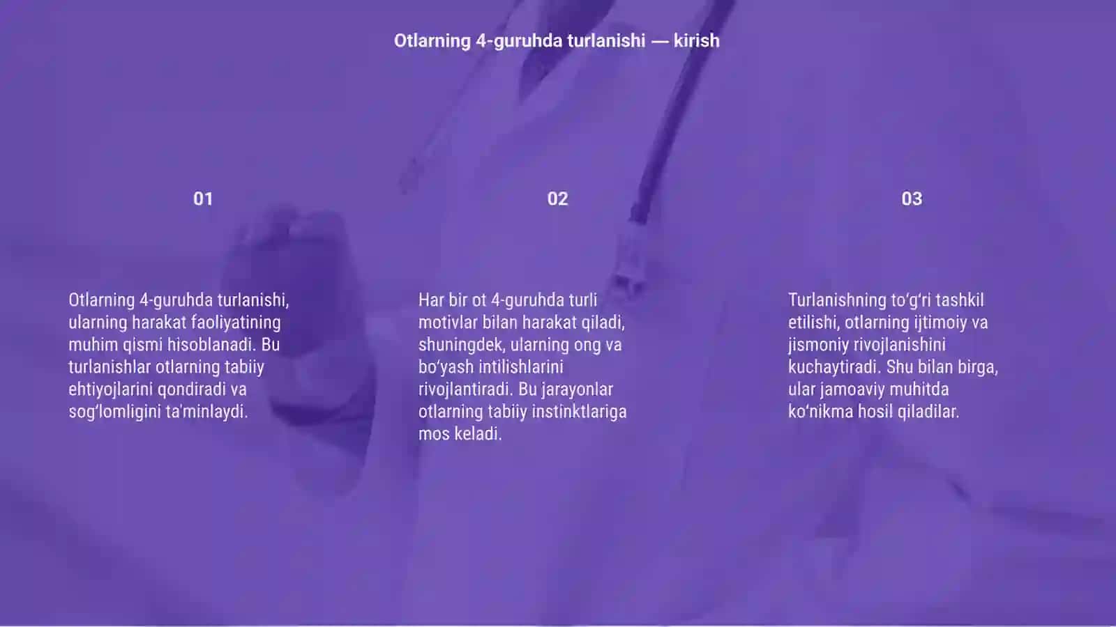 Otlarning 4-guruhda turlanishi 3