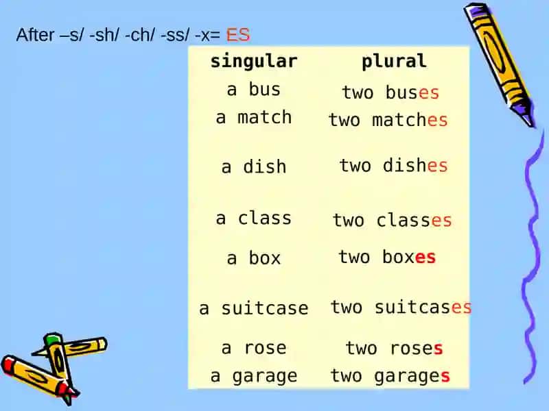 Plurals 3