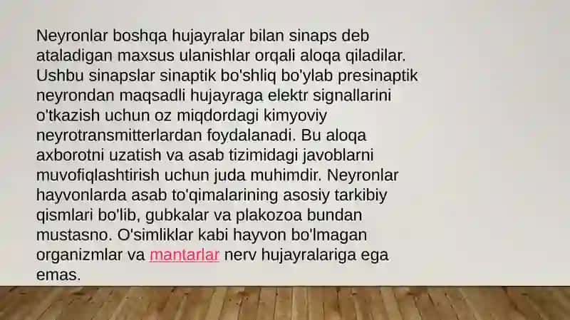 Neyron. Uning tuzilishi va vazifalari 3