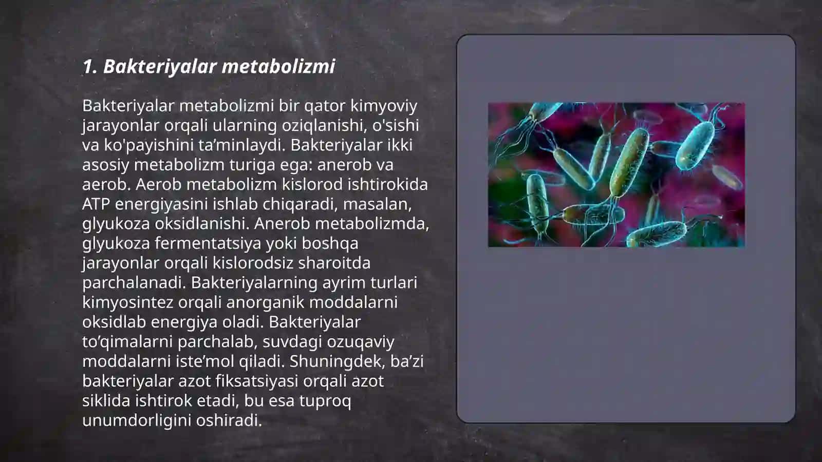 Bakteriyalar fiziologiyagasi 3