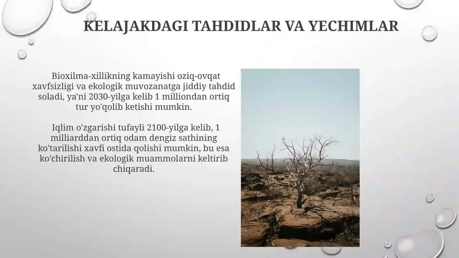 Odam ekalogiyasi 3