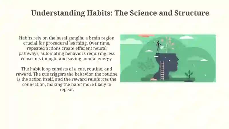 Understanding Habits: The Science and Structure 3