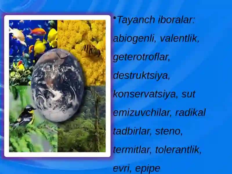 Ekologik omillar 3