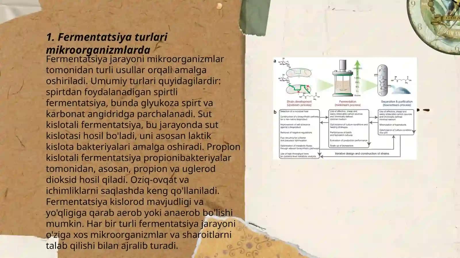 Mikroorganizmlarda fermentatsiya jarayonlari 3