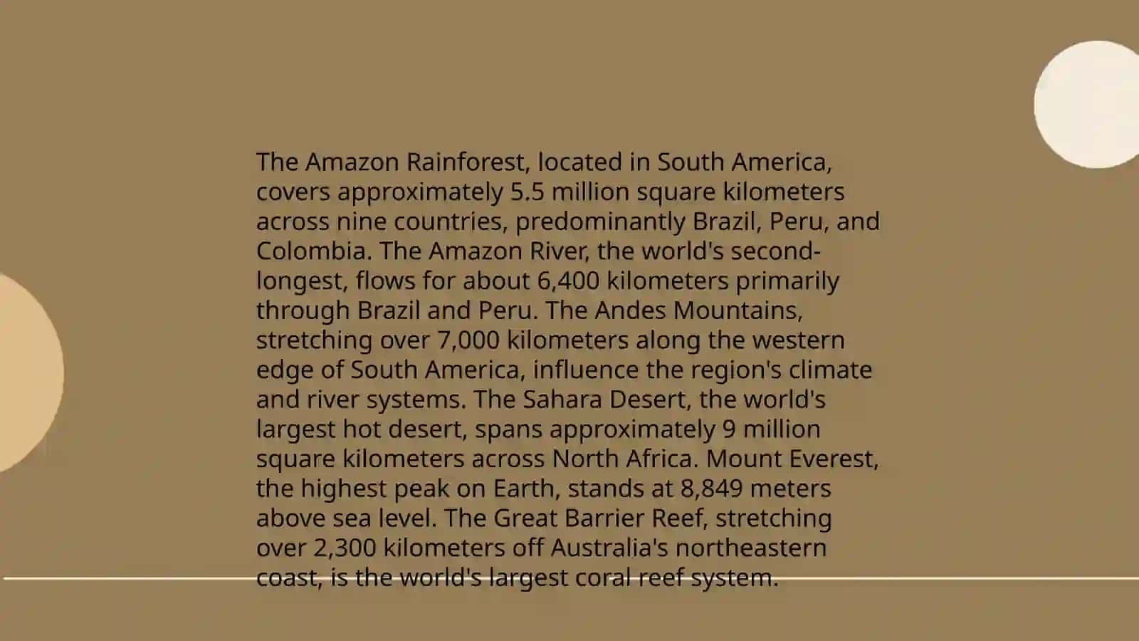 Amazon Rainforest 3