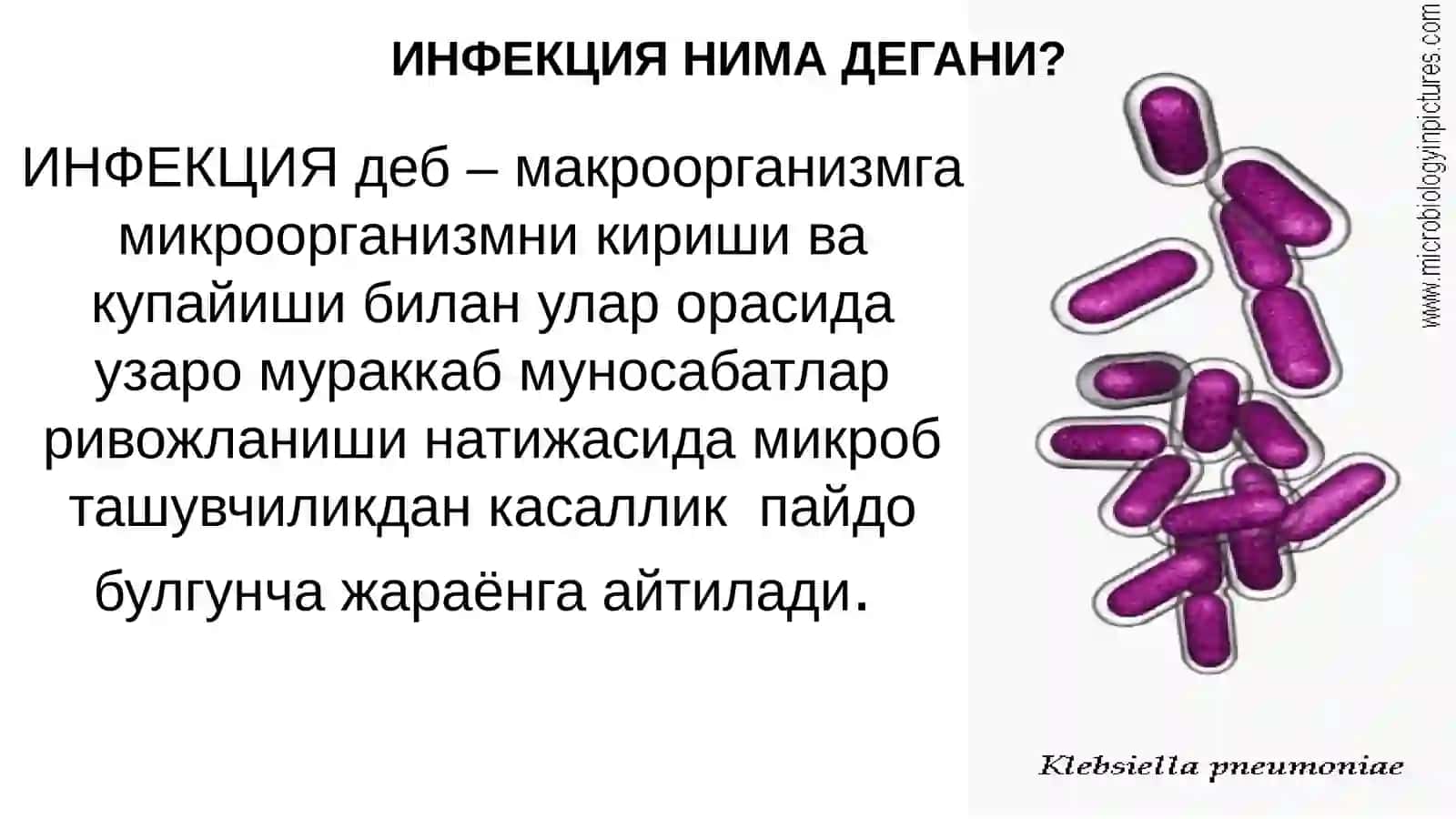 ХИРУРГИК ИНФЕКЦИЯ 3