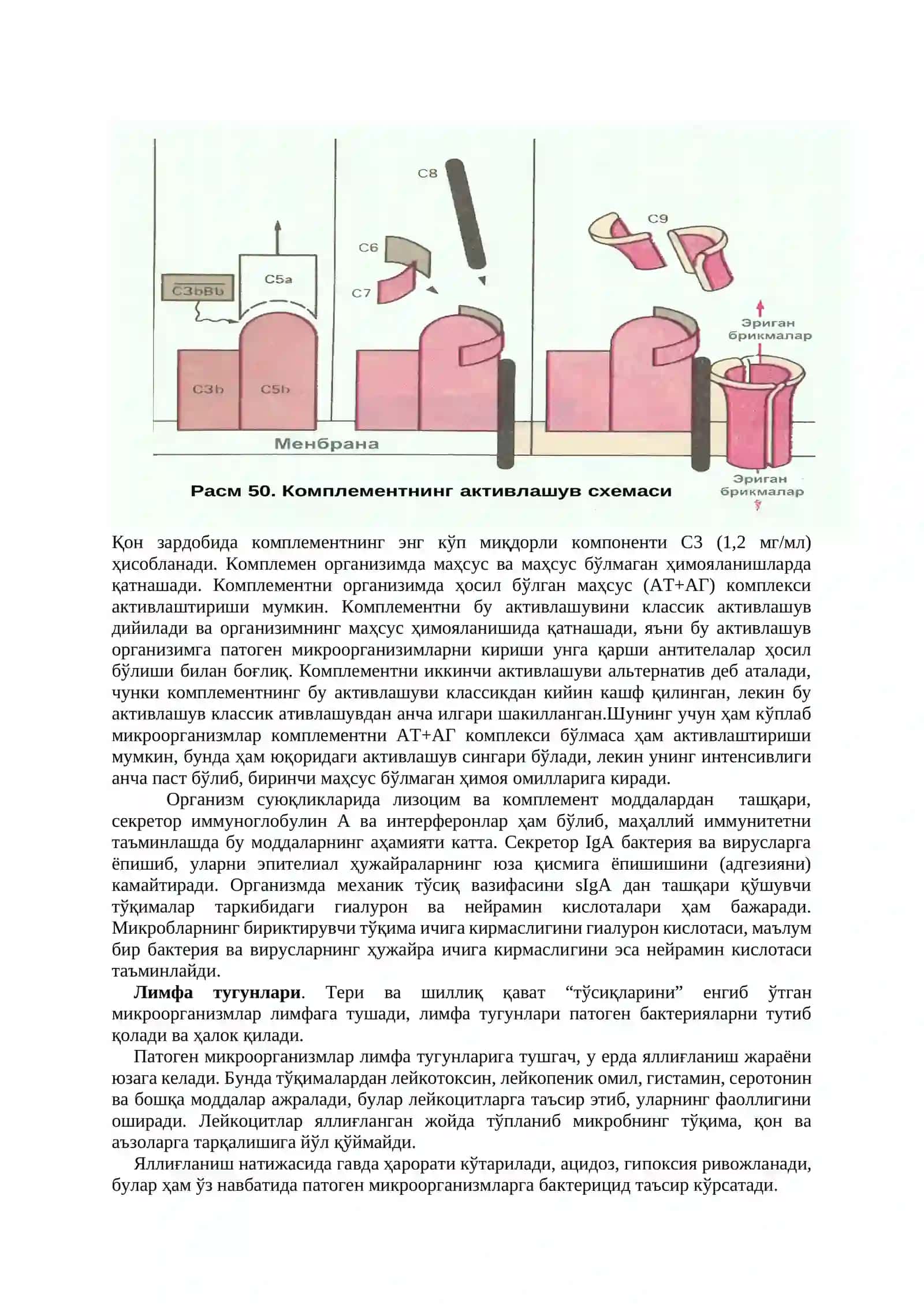 Иммунология 3