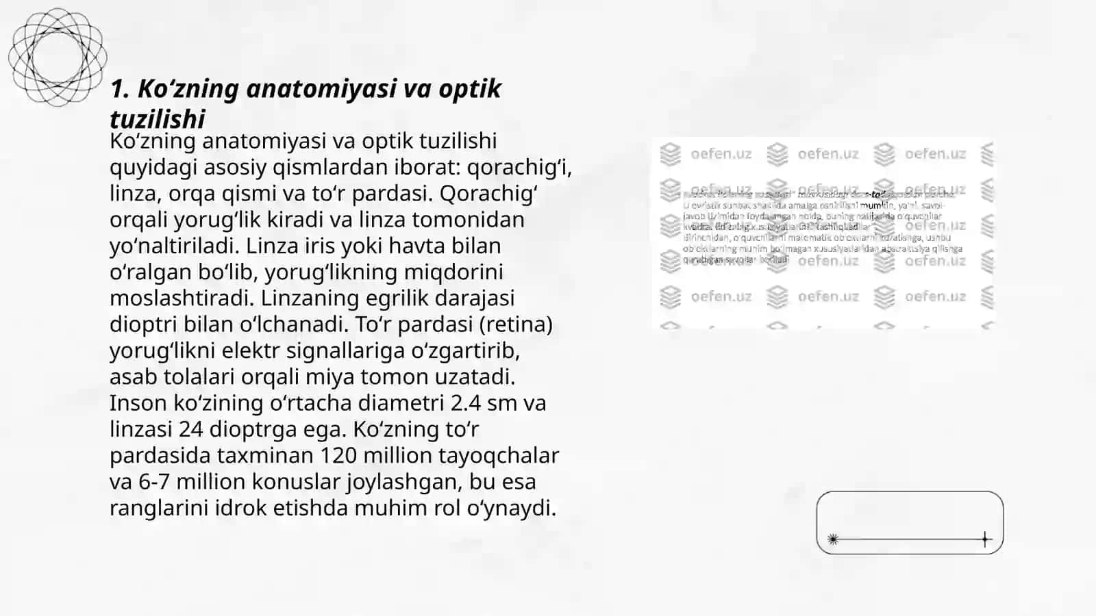 Koʻzning optik xossalari 3