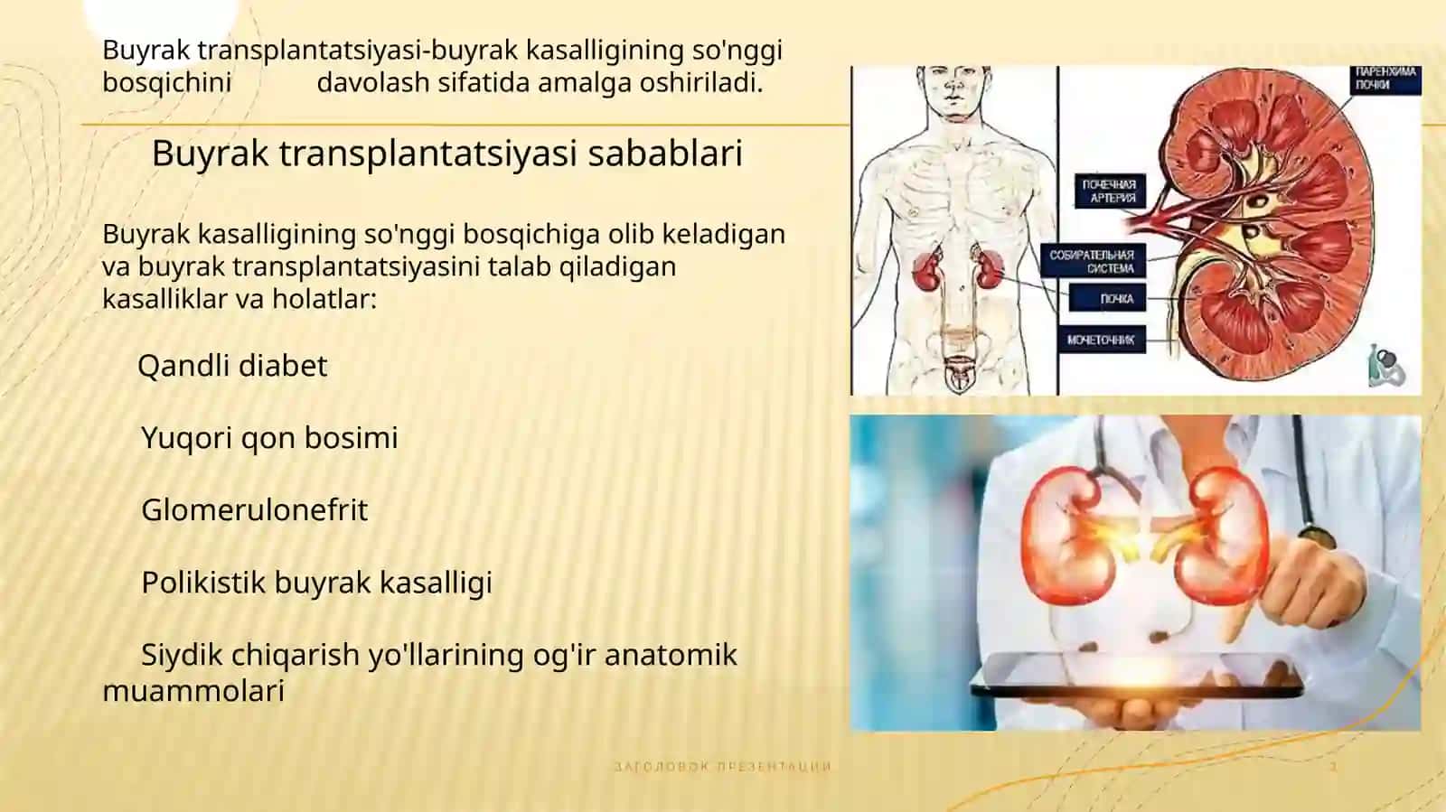 Buyrak transplantatsiyasi 3