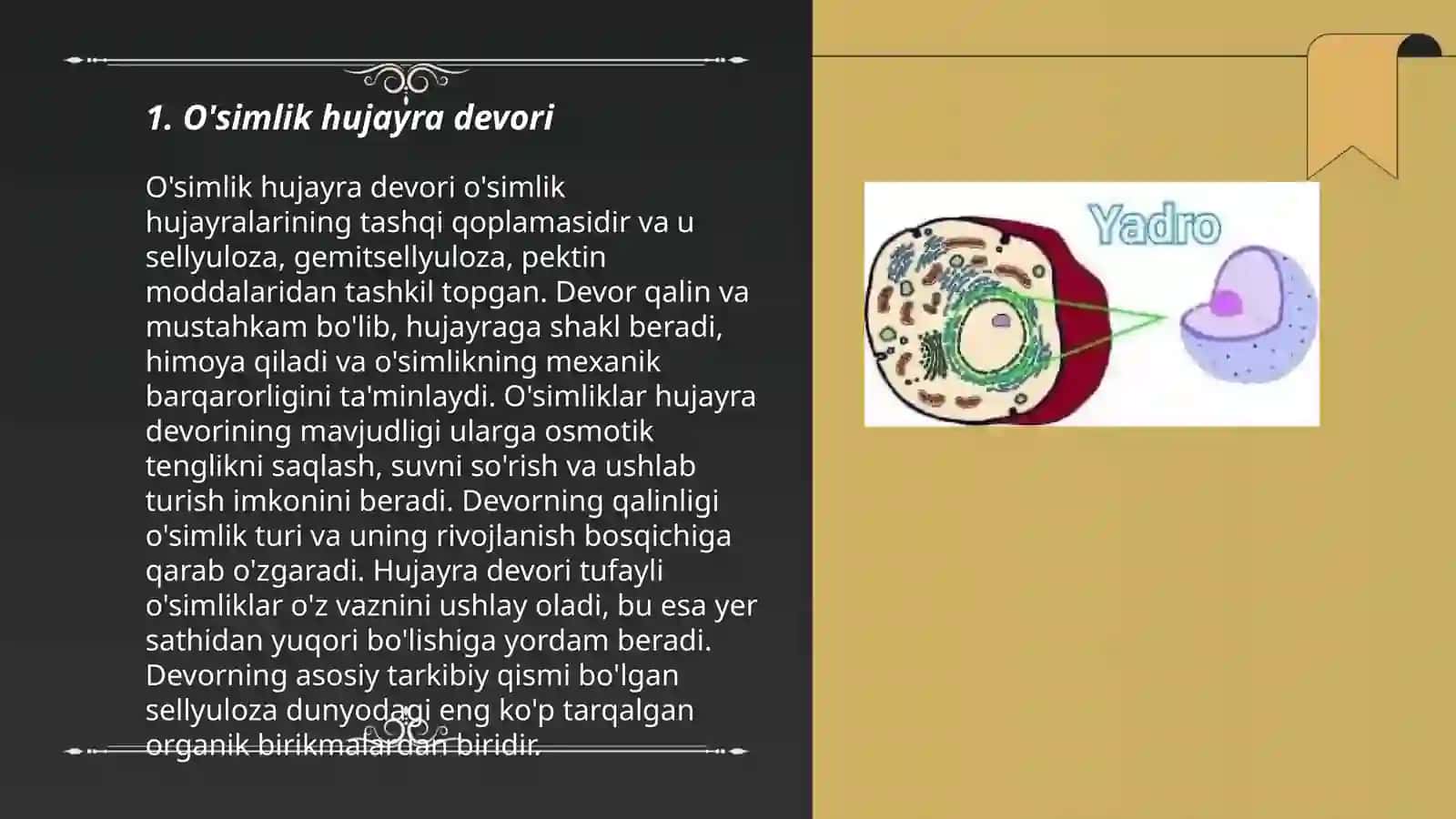 O’simlik hujayrasining tuzilishi 3