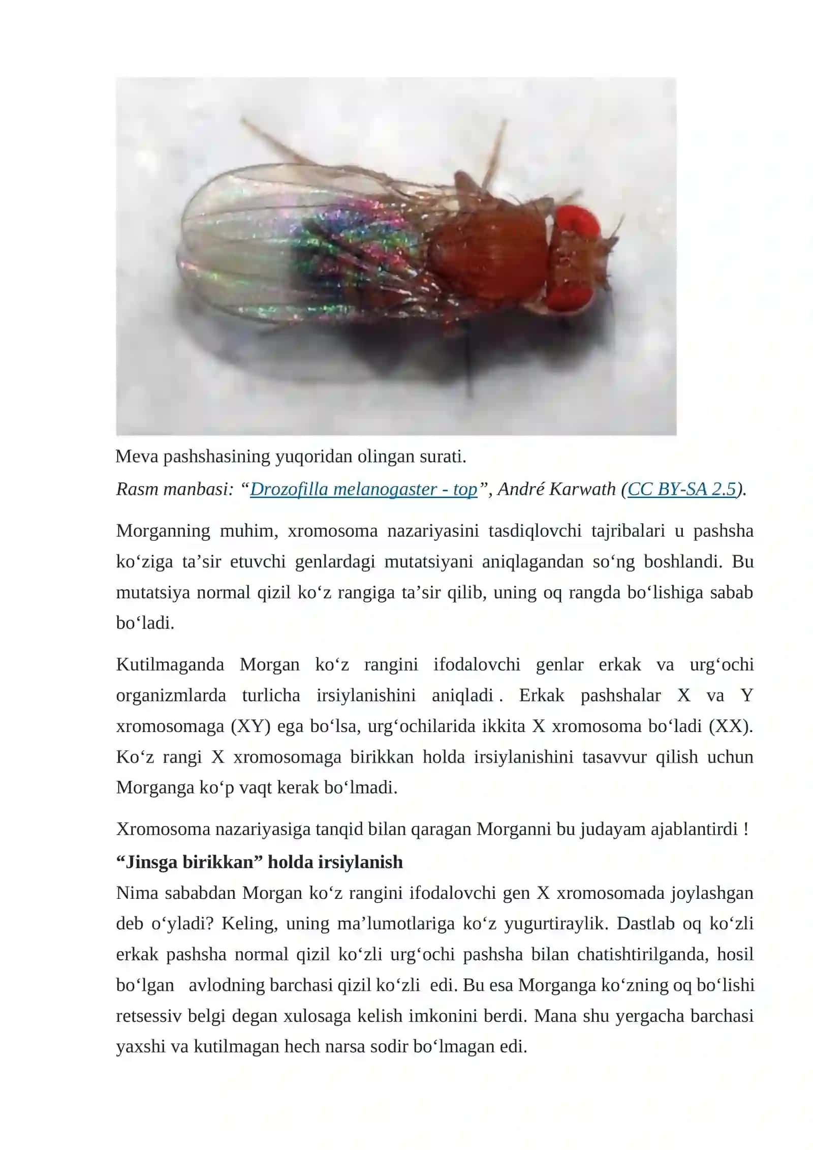Irsiyatning xromosoma nazariyasi 3