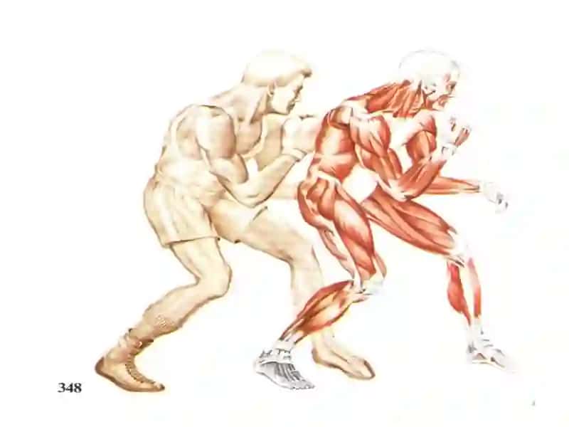 Мушаклар физиологияси 3
