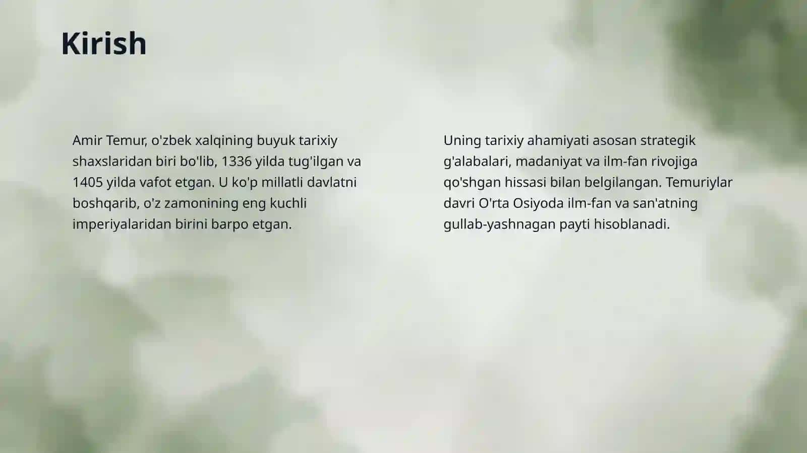 Amir Temur 3