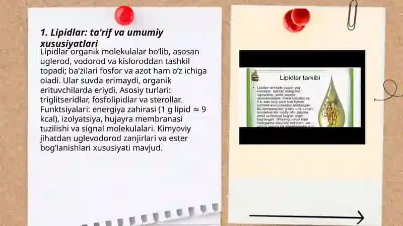 Lipidlar 3