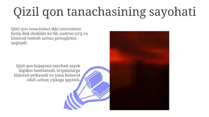 Eritrotsitlar,turlari va funksiyalari 3