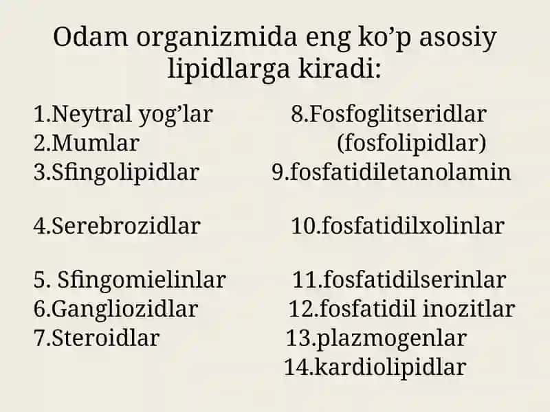 Lipidlar 3