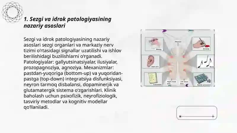 Sezgi va idrok patologiyasi 3