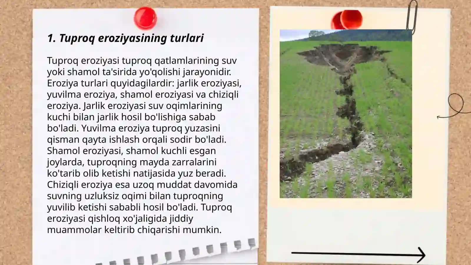 Tuproq eroziyasi 3