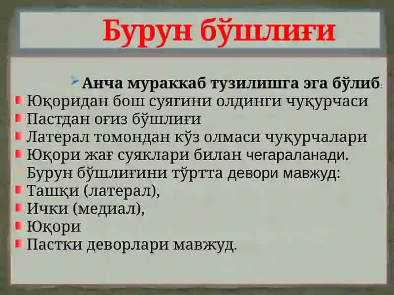 БУРУН, БУРУН ЁНДОШ БЎШЛИҚЛАРИНИНГКЛИНИК АНАТОМИЯСИ 3