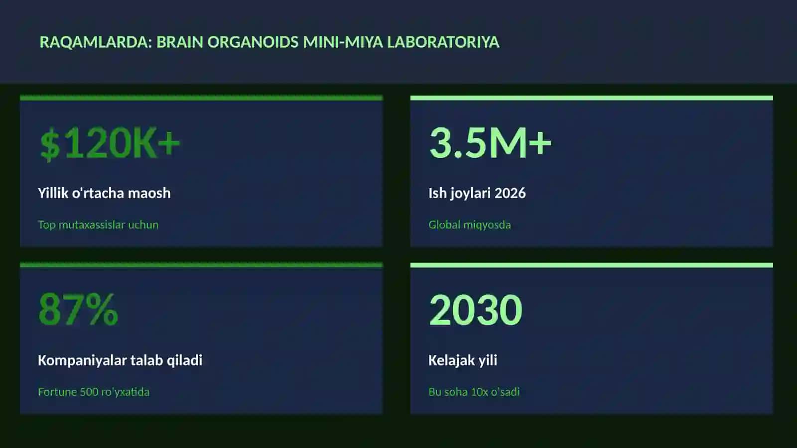 Brain Organoids Mini-Miya Laboratoriya 3