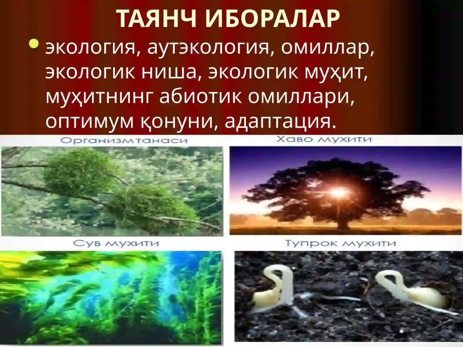 АДТИжамоат саломатлиги кафедраси 3