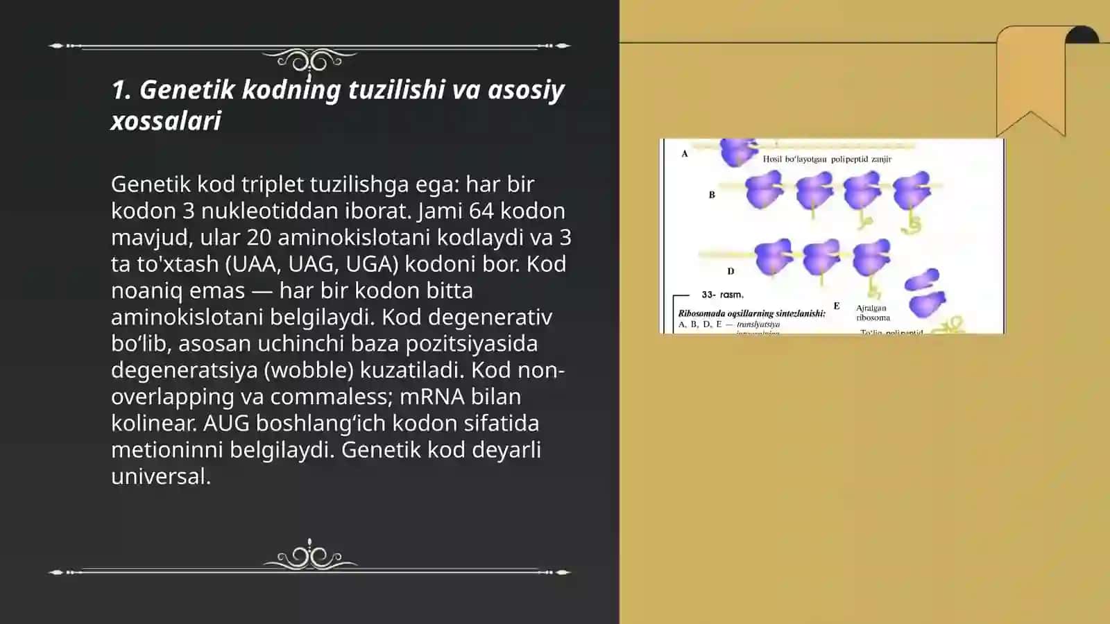 Genetik kod va oqsil sintezi 3