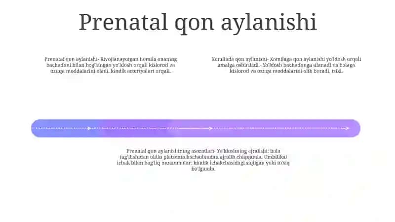 Homilada Qon Aylanishi 3