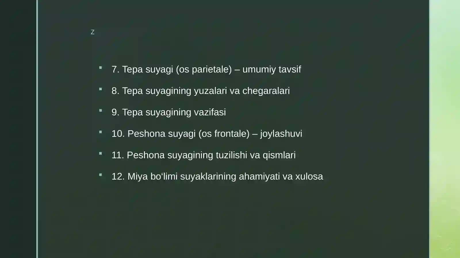 Bosh suyaklari anatomiyasi 3