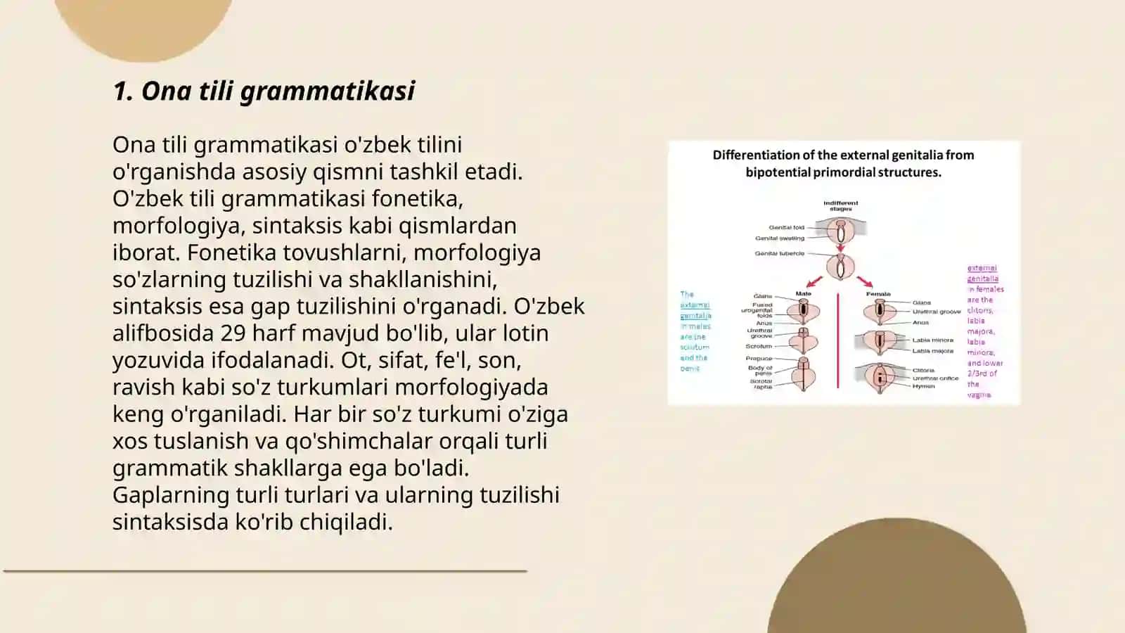 Ona tili grammatikasi 3