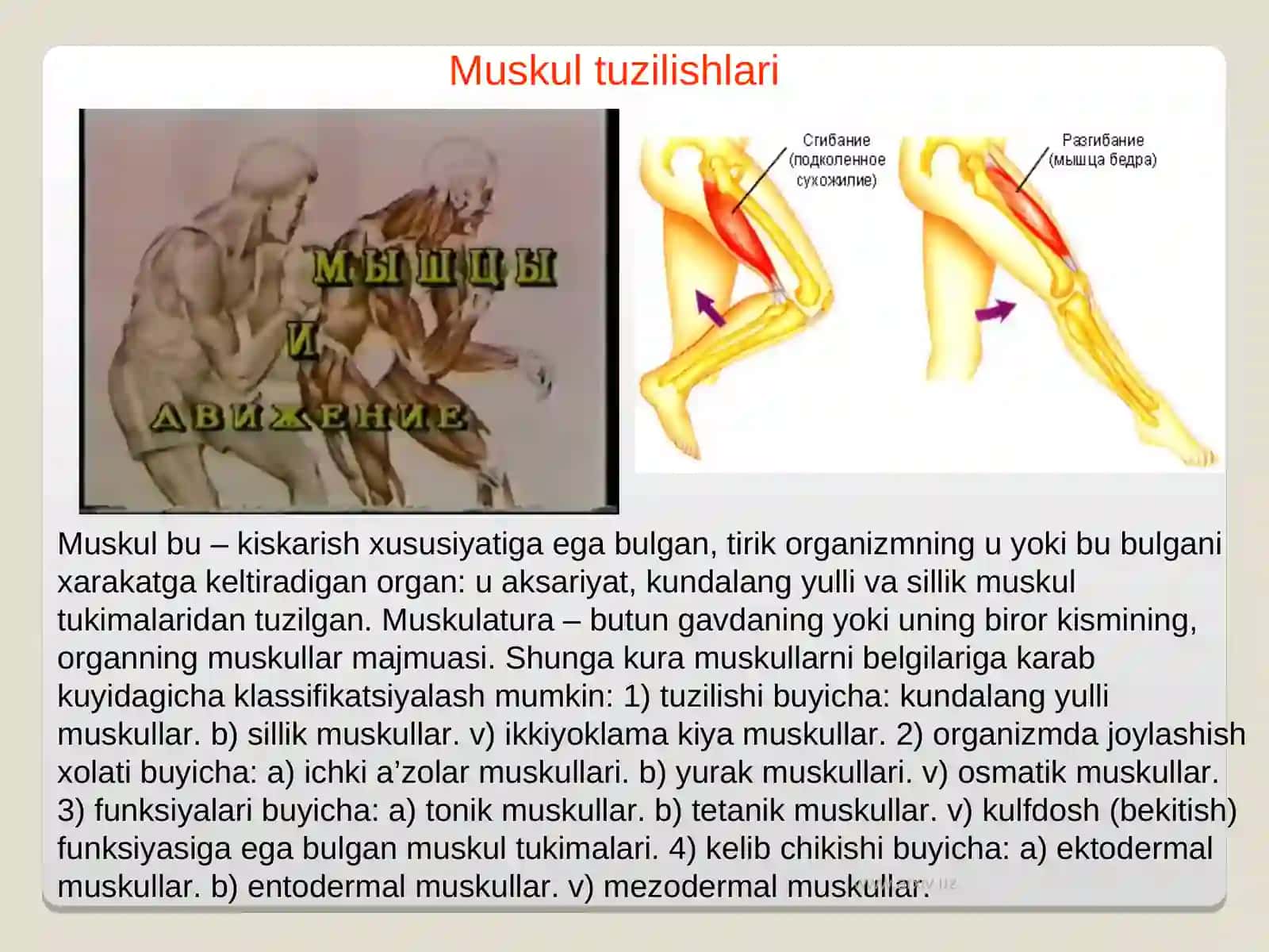 MUSKULLAR REGENERATSIYASI 3