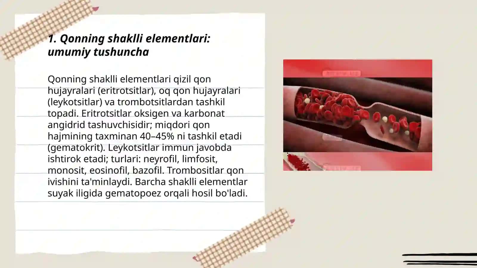 Qonning shaklli elementlari 3