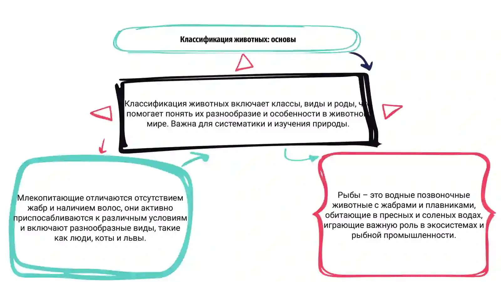 Классификация животных: основы 3