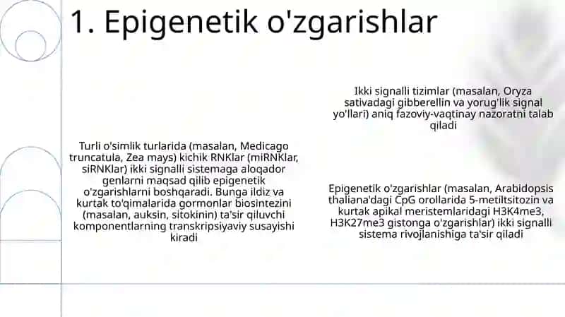 Bolalarda 2-signal tizimining rivojlanishiga ta'sif etuvchi omillar 3