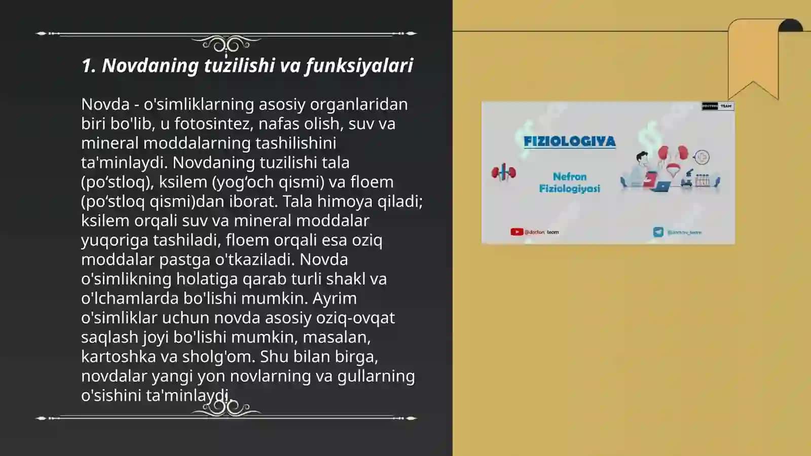 Novdaning tuzulishi 3