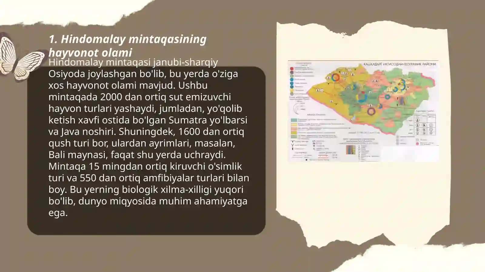 Hindomalay zogeografik viloyati 3