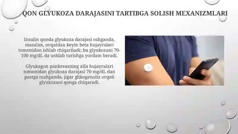 Qonda glyukoza miqdorini boshqarilishi 3