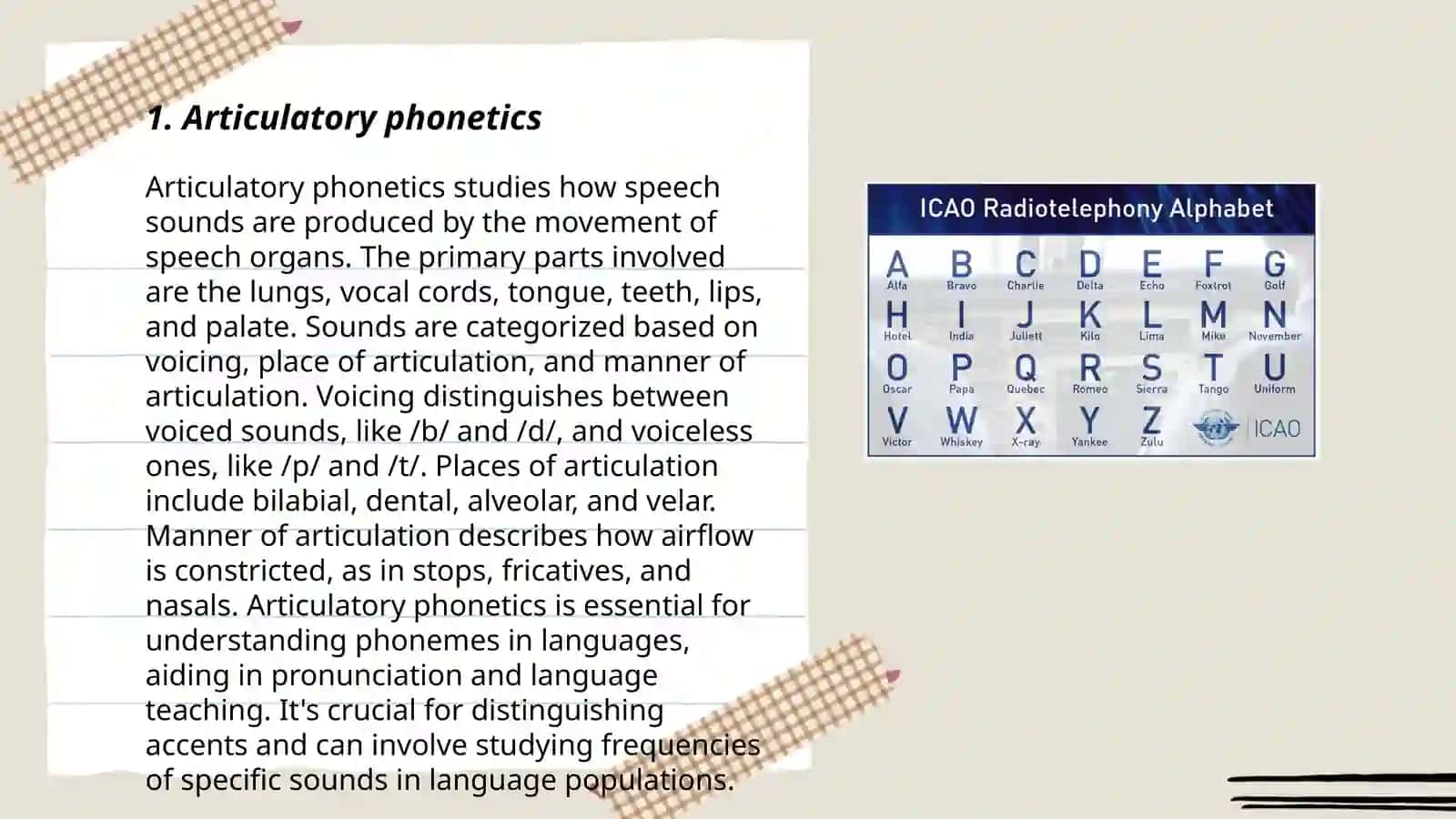 Phonetic and phonemic leaves 3